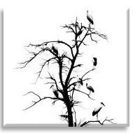 Ölü Ağaç ve Kuşlar