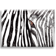 Zebra 2