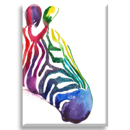 Renkli Zebra