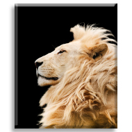 Aslan 2