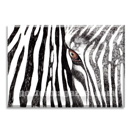 Zebra 2