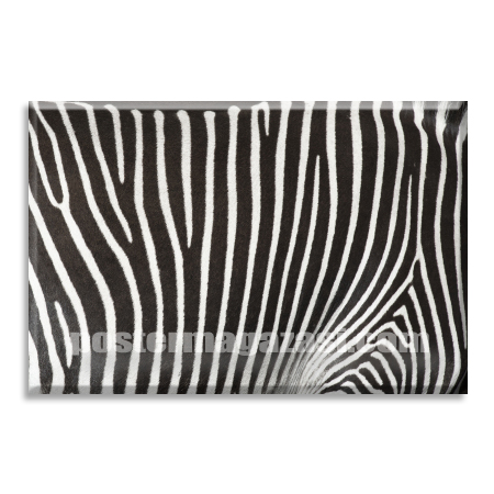 Zebra Desen